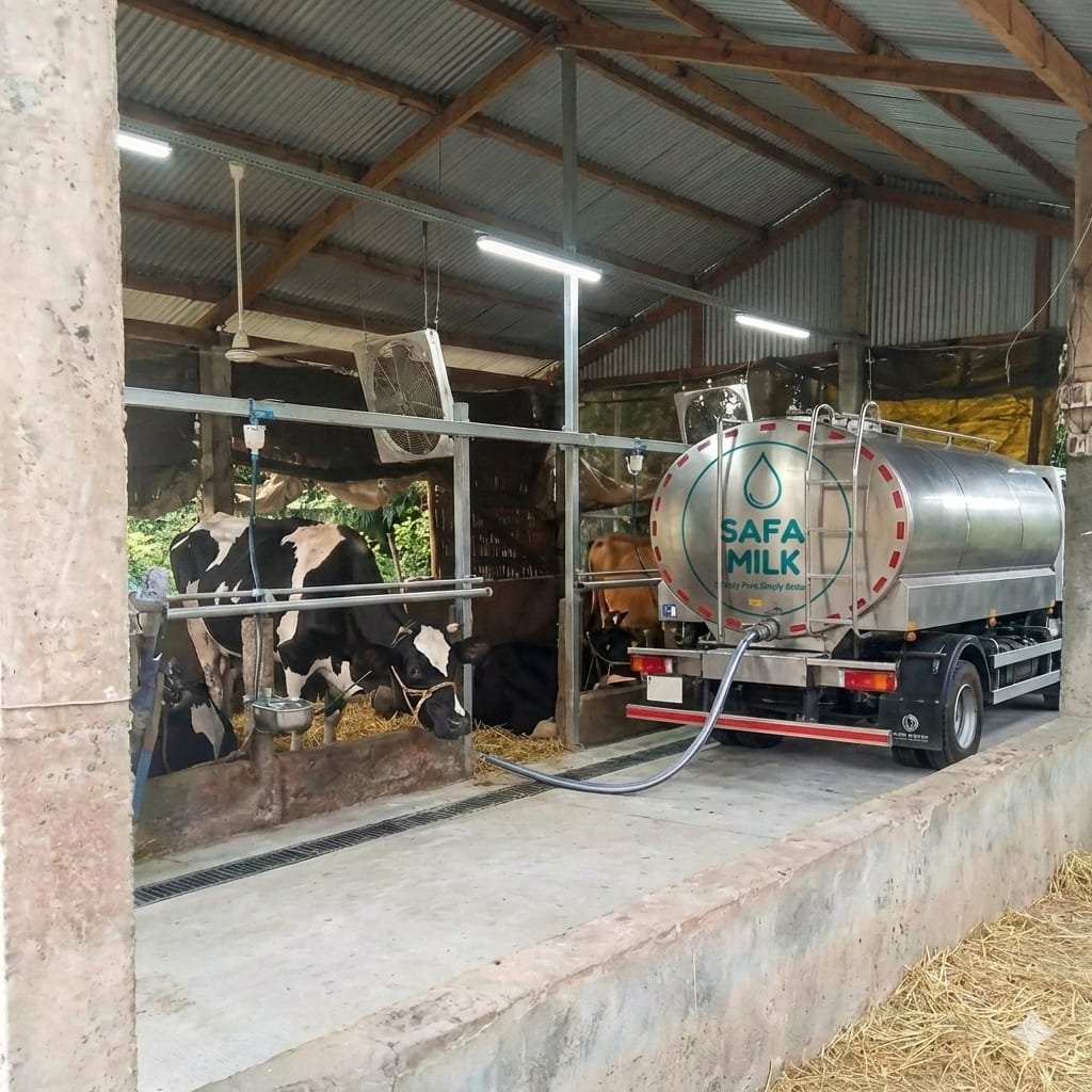 Milk Collection